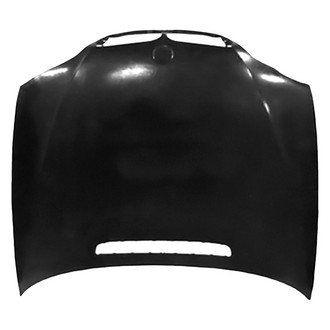 Replace® - Hood Panel (Value Line)