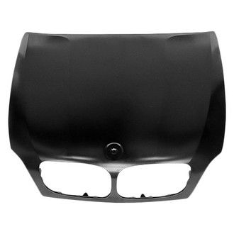 Replace® - Hood Panel (Standard Line)