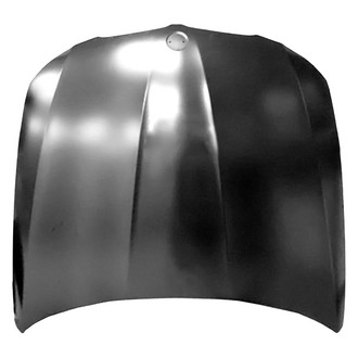 Replace® - Hood Panel (Platinum Plus)