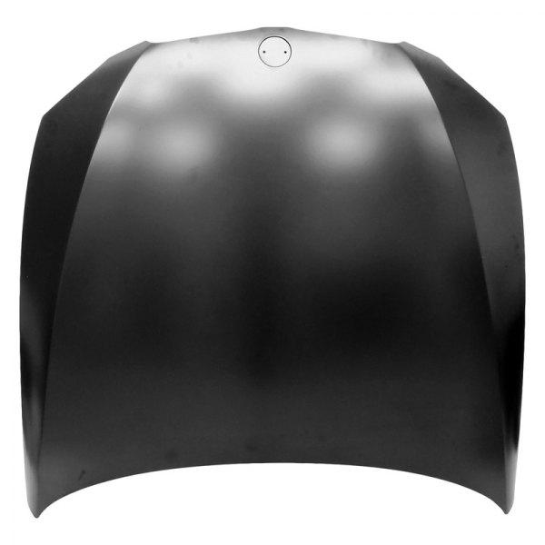 Replace® - Hood Panel