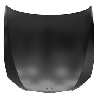 Replace® - Hood Panel (Standard Line)