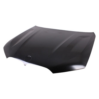 Replace® - Hood Panels