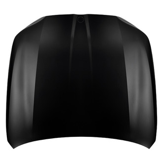 Replace® - Hood Panels