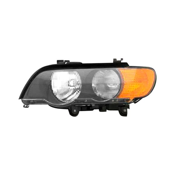 Replace® - Driver Side Replacement Headlight, BMW X5