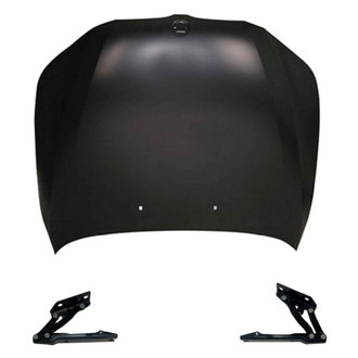 Replace® - 3-Piece (Hood Panel, Driver and Passenger Side Hood Hinge) (Standard Line)