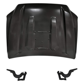 Replace® - 3-Piece (Hood Panel, Driver and Passenger Side Hood Hinge) (Standard Line)