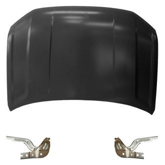 Replace® - 3-Piece (Hood Panel, Driver and Passenger Side Hood Hinge) (Standard Line)