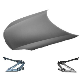 Replace® - 3-Piece (Hood Panel, Driver and Passenger Side Hood Hinge) (Standard Line)