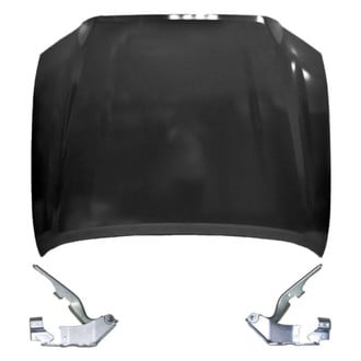 Replace® - 3-Piece (Hood Panel, Driver and Passenger Side Hood Hinge) (Standard Line)