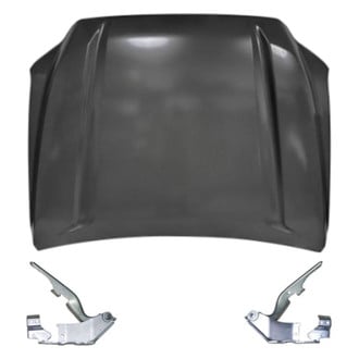 Replace® - 3-Piece (Hood Panel, Driver and Passenger Side Hood Hinge) (Standard Line)