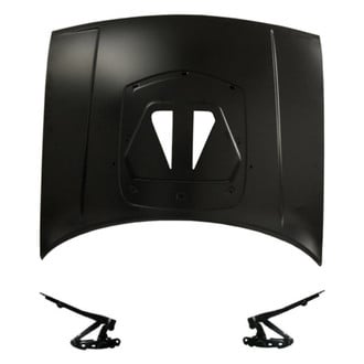 Replace® - 3-Piece (Hood Panel, Driver and Passenger Side Hood Hinge) (Standard Line)