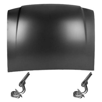 Replace® - 3-Piece (Hood Panel, Driver and Passenger Side Hood Hinge) (Standard Line)