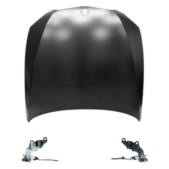 Replace® - 3-Piece (Hood Panel, Driver and Passenger Side Hood Hinge) (Standard Line)