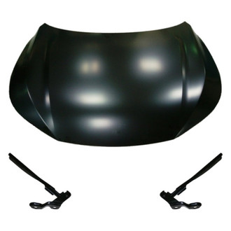 Replace® - 3-Piece (Hood Panel, Driver and Passenger Side Hood Hinge) (Standard Line)