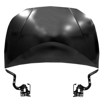 Replace® - 3-Piece (Hood Panel, Driver and Passenger Side Hood Hinge) (Standard Line)