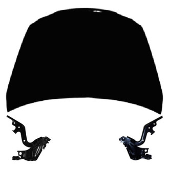 Replace® - 3-Piece (Hood Panel, Driver and Passenger Side Hood Hinge) (Standard Line)