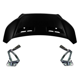 Replace® - 3-Piece (Hood Panel, Driver and Passenger Side Hood Hinge) (Standard Line)