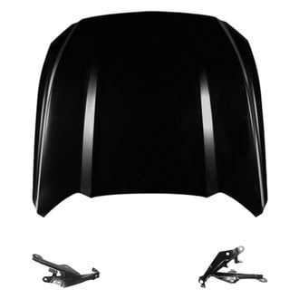Replace® - 3-Piece (Hood Panel, Driver and Passenger Side Hood Hinge) (Standard Line)