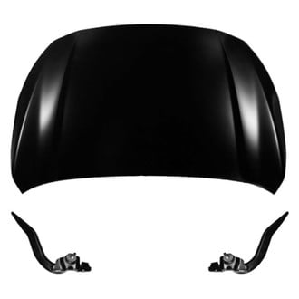 Replace® - 3-Piece (Hood Panel, Driver and Passenger Side Hood Hinge) (Standard Line)