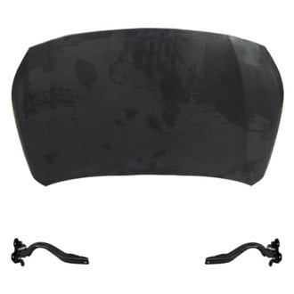 Replace® - 3-Piece (Hood Panel, Driver and Passenger Side Hood Hinge) (Standard Line)