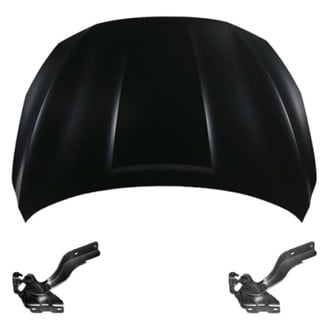 Replace® - 3-Piece (Hood Panel, Driver and Passenger Side Hood Hinge) (Standard Line)