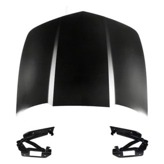 Replace® - 3-Piece (Hood Panel, Driver and Passenger Side Hood Hinge) (Standard Line)