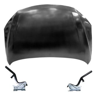 Replace® - 3-Piece (Hood Panel, Driver and Passenger Side Hood Hinge) (Standard Line)