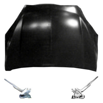 Replace® - 3-Piece (Hood Panel, Driver and Passenger Side Hood Hinge) (Standard Line)