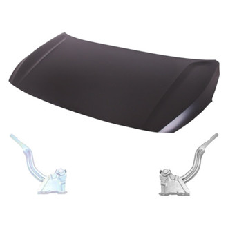 Replace® - 3-Piece (Hood Panel, Driver and Passenger Side Hood Hinge) (Standard Line)