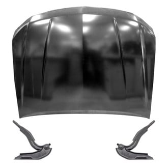 Replace® - 3-Piece (Hood Panel, Driver and Passenger Side Hood Hinge) (Standard Line)