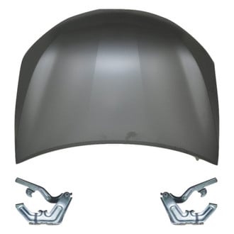 Replace® - 3-Piece (Hood Panel, Driver and Passenger Side Hood Hinge) (Standard Line)