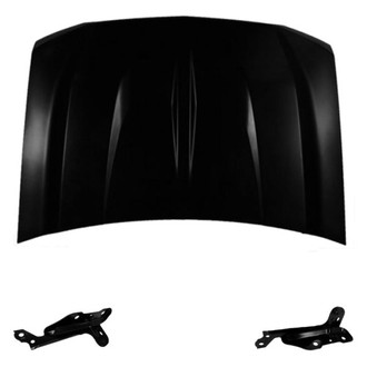Replace® - 3-Piece (Hood Panel, Driver and Passenger Side Hood Hinge) (Standard Line)