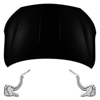 Replace® - 3-Piece (Hood Panel, Driver and Passenger Side Hood Hinge) (Standard Line)