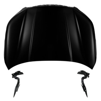 Replace® - 3-Piece (Hood Panel, Driver and Passenger Side Hood Hinge) (Standard Line)