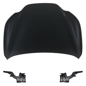 Replace® - 3-Piece (Hood Panel, Driver and Passenger Side Hood Hinge) (Standard Line)