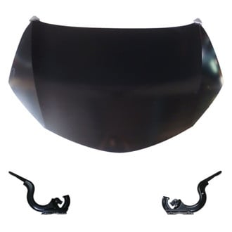 Replace® - 3-Piece (Hood Panel, Driver and Passenger Side Hood Hinge) (Standard Line)