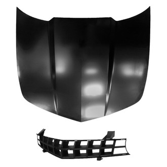 Replace® - 2-Piece (Hood Panel, Grille) (Platinum Plus)