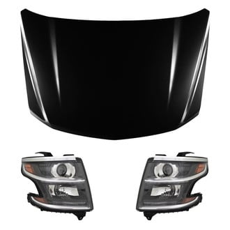 Replace® - 3-Piece Kit (Driver and Passenger Side Headlights, Hood Panel) (Standard Line)
