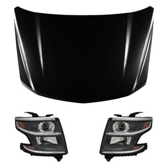 Replace® - 3-Piece Kit (Driver and Passenger Side Headlights, Hood Panel) (Standard Line)