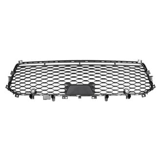 Replace® - Front Bumper Grille (Standard Line)
