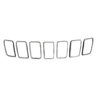 Replace® - Grille Molding Kit (CAPA Certified)