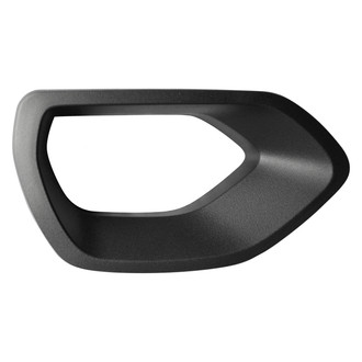 Replace® - Passenger Side Grille Insert (Standard Line)