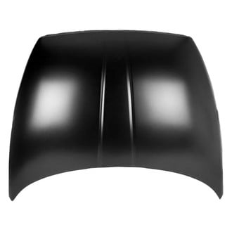 Replace® - Hood Panel (Platinum Plus)