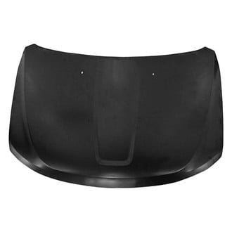 Replace® - Hood Panel (Standard Line)
