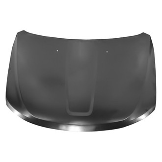 Replace® - Hood Panel (Platinum Plus)