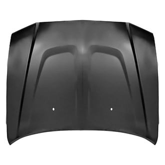 Replace® - Hood Panel (Platinum Plus)