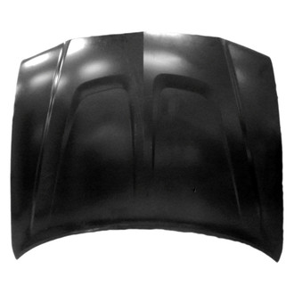 Replace® - Hood Panel (Standard Line)