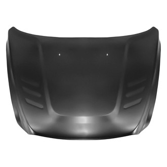 Replace® - Hood Panel (Standard Line)