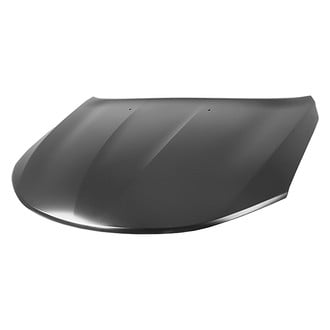 Replace® - Hood Panel (Platinum Plus)