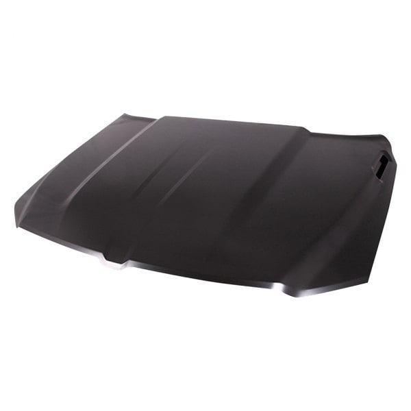 Replace® CH1230325 - Hood Panel (Standard Line)